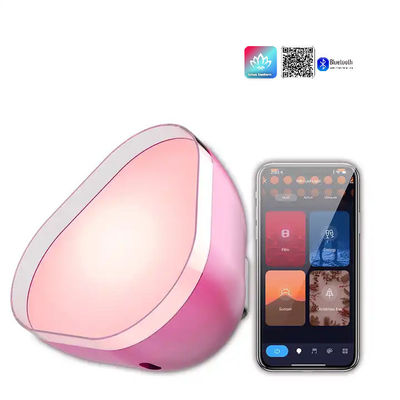 USB sạc khí quyển đèn LED RGBIC Bluetooth tùy chỉnh